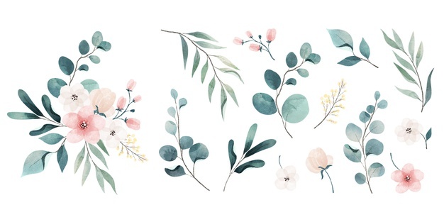 Assortment of watercolor leaves and flowers