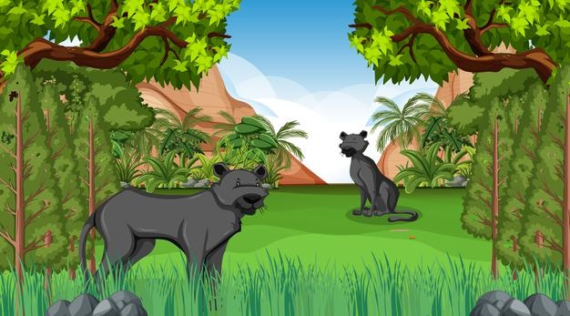 Black panther in forest scene with many trees