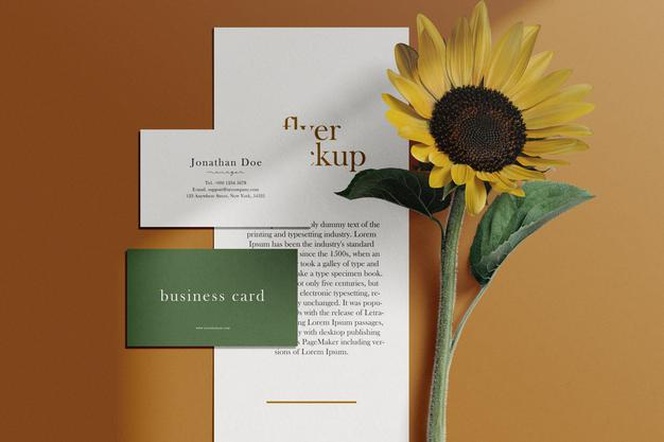 clean minimal business card and flyer mockup on background with sunflower