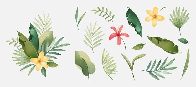Collection of tropical plants and leaves