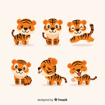 Cute tiger set