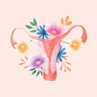 Female reproductive system artistic concept