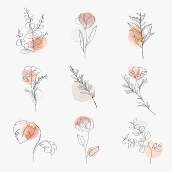 Flowers line art  botanical watercolor minimal illustration set