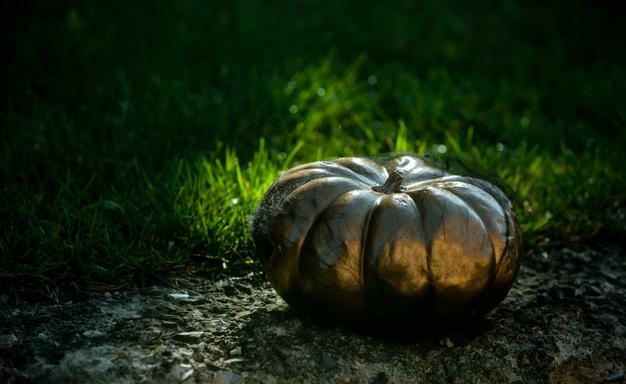 Halloween decoration and scary concept. halloween background. pumpkin head jack lantern. trick or treat. jack-o-lanterns.