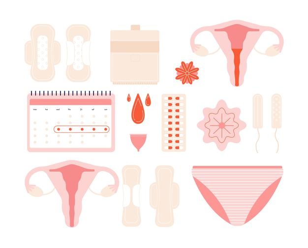 Menstruation. girl periods, female menstrual hygiene. sanitary problems cycle, uterus and tampons, flowers, calendar. vector feminine icons. menstruation monthly cycle, hygienic illustration