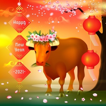 Realistic vietnamese new year with bull