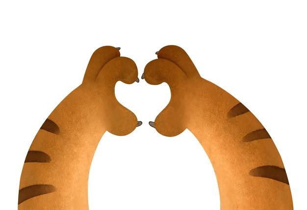 Tigers hands show the symbol of the heart 2022 new year character valentines day illustration