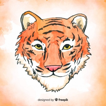 Watercolor tiger background